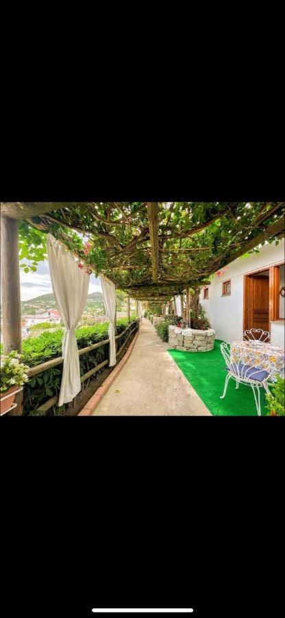 Guesthouse Coralba Casamicciola Terme Exteriör bild